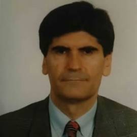 İsmail GÜLTEKİN